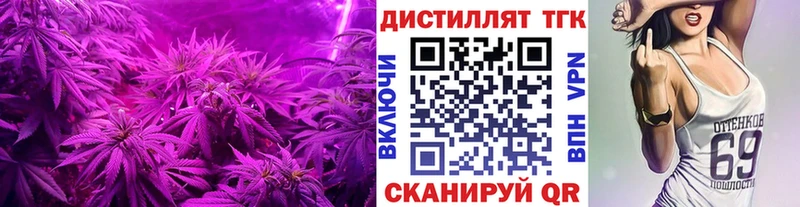 ТГК концентрат  Купить  Томмот 